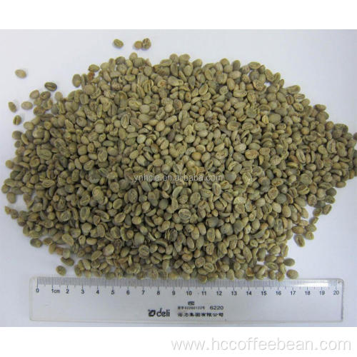 polished grade B arabica green coffee beans